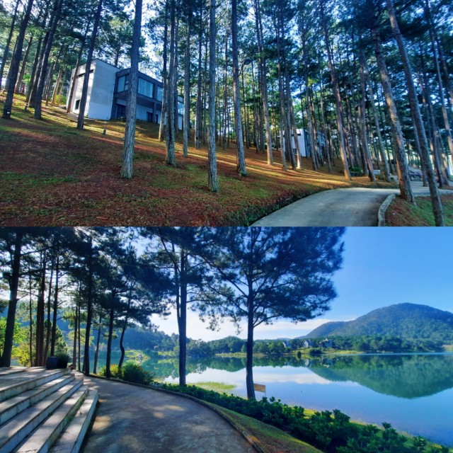 f:id:A-hanoi:20221108160732j:image f:id:A-hanoi:20221108160732j:image