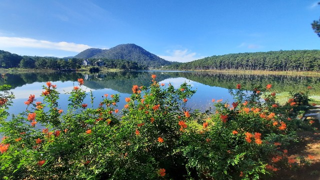 f:id:A-hanoi:20221108161034j:image f:id:A-hanoi:20221108161034j:image