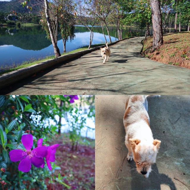 f:id:A-hanoi:20221108161059j:image f:id:A-hanoi:20221108161059j:image