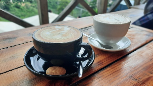 f:id:A-hanoi:20221114202117j:image