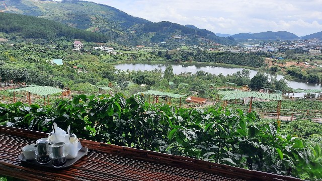f:id:A-hanoi:20221118175738j:image