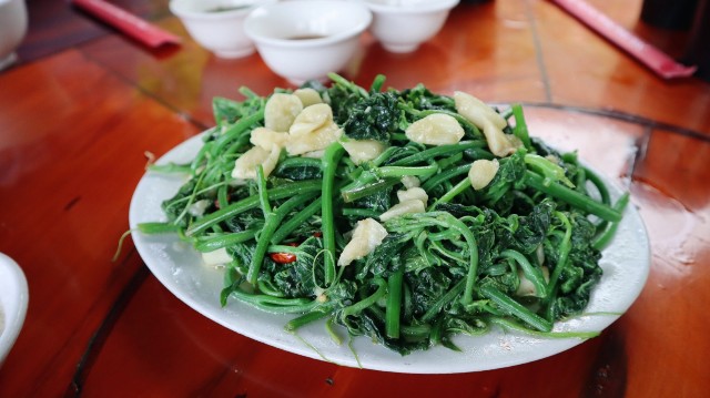 f:id:A-hanoi:20221203190949j:image f:id:A-hanoi:20221203190949j:image