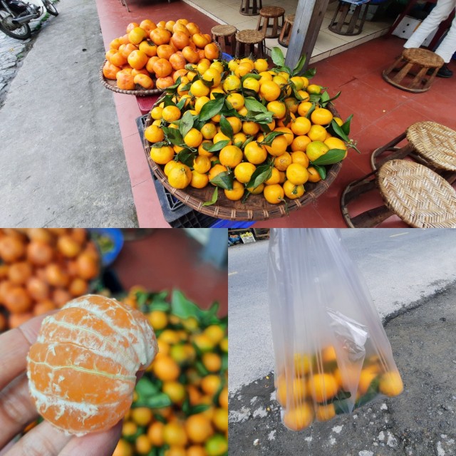 f:id:A-hanoi:20221205182647j:image f:id:A-hanoi:20221205182647j:image