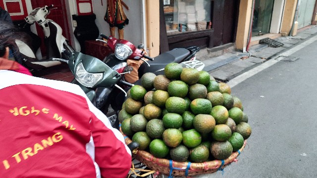 f:id:A-hanoi:20230103155554j:image