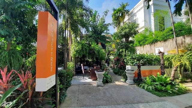 f:id:A-hanoi:20230127213543j:image