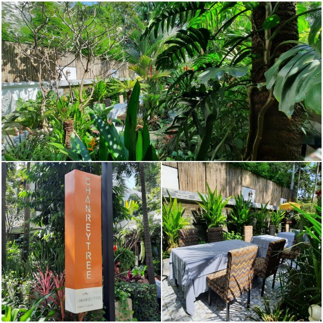 f:id:A-hanoi:20230127213629j:image