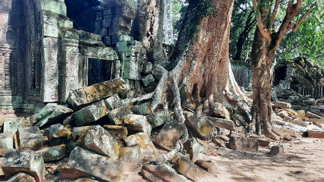 f:id:A-hanoi:20230128190844j:image