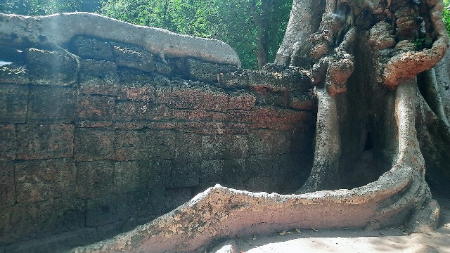 f:id:A-hanoi:20230128191006j:image