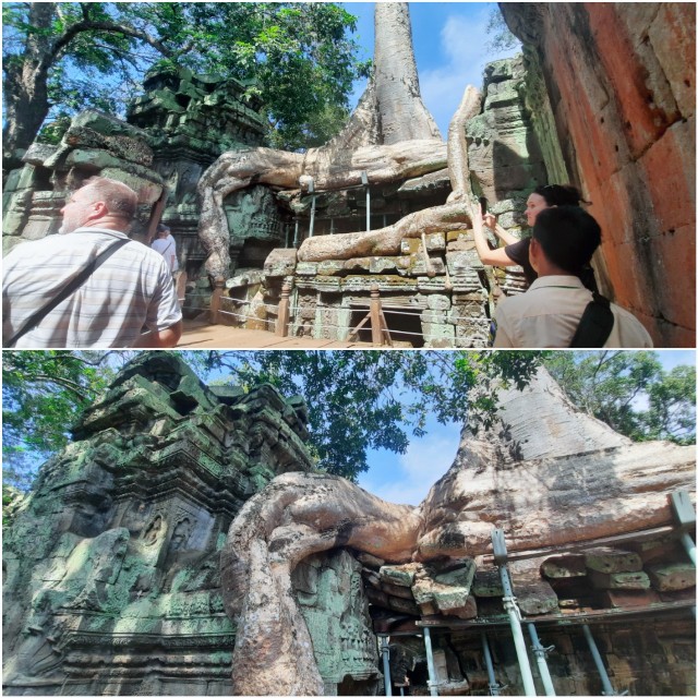 f:id:A-hanoi:20230128191828j:image
