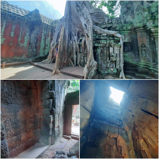 f:id:A-hanoi:20230128191947j:image