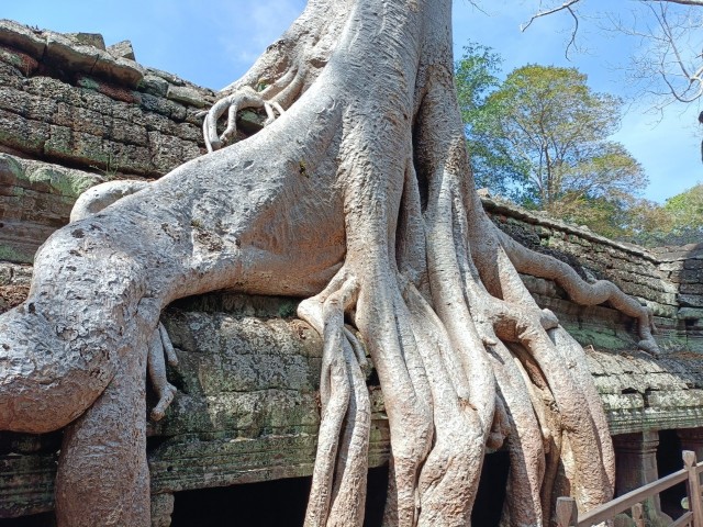 f:id:A-hanoi:20230128192122j:image