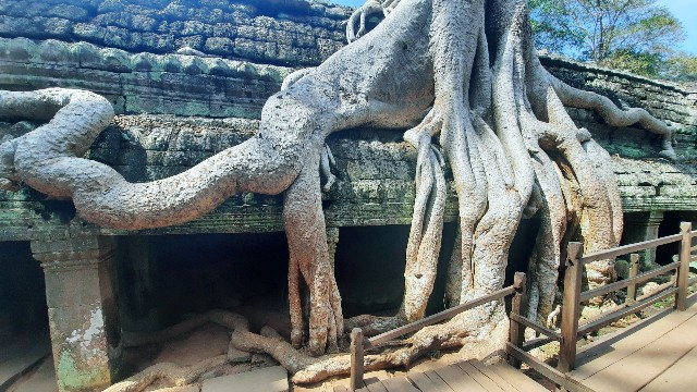 f:id:A-hanoi:20230128192142j:image