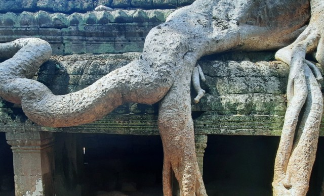 f:id:A-hanoi:20230128192200j:image