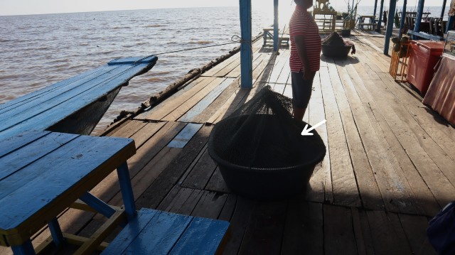 f:id:A-hanoi:20230128233603j:image