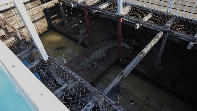 f:id:A-hanoi:20230128233615j:image