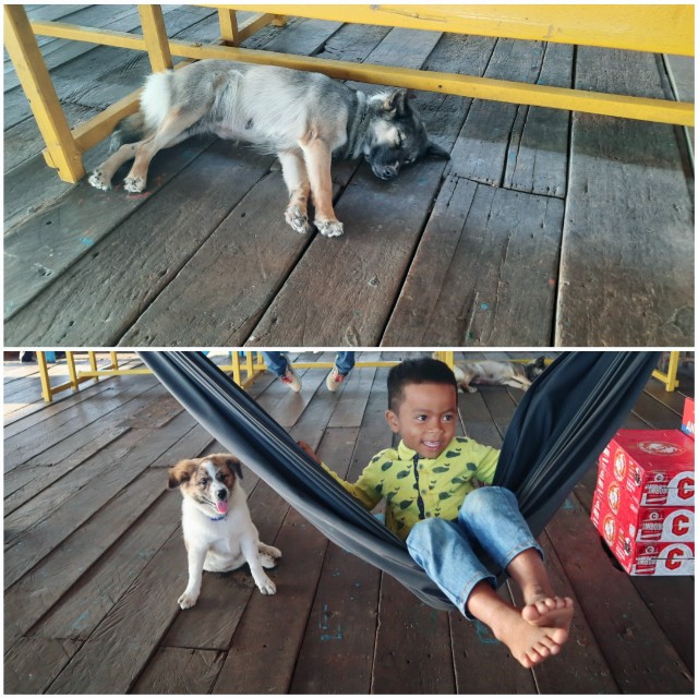 f:id:A-hanoi:20230128233629j:image