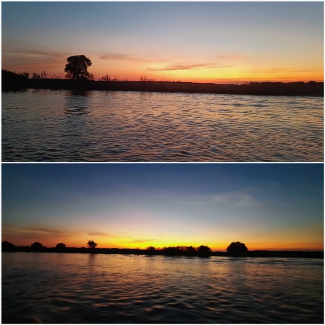 f:id:A-hanoi:20230128233852j:image