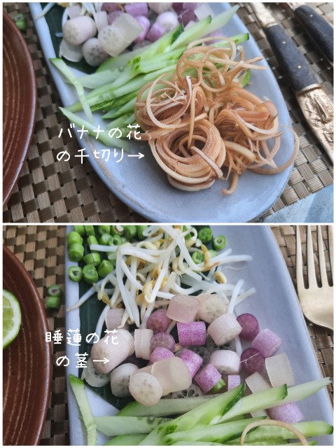 f:id:A-hanoi:20230129195228j:image f:id:A-hanoi:20230129195228j:image