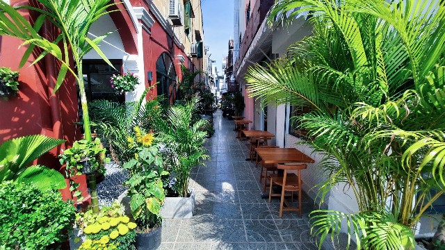 f:id:A-hanoi:20230203180001j:image