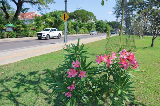 f:id:A-hanoi:20230203195727j:image