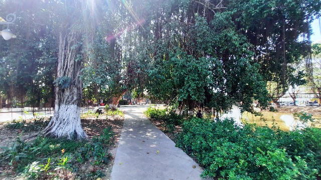 f:id:A-hanoi:20230206174557j:image