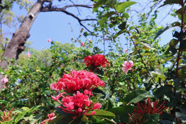 f:id:A-hanoi:20230206174854j:image