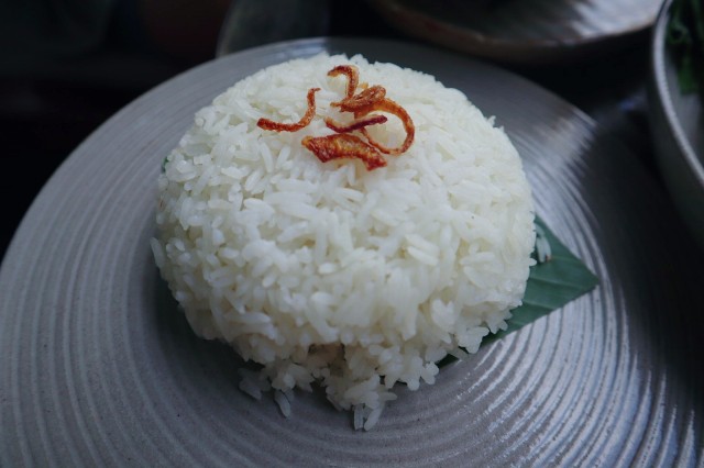 f:id:A-hanoi:20230206194611j:image