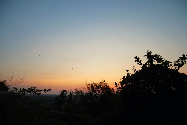 f:id:A-hanoi:20230206234055j:image