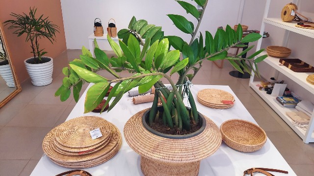 f:id:A-hanoi:20230208161832j:image