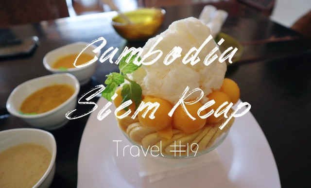 f:id:A-hanoi:20230208173653j:image