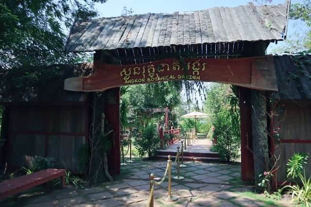 f:id:A-hanoi:20230209163947j:image