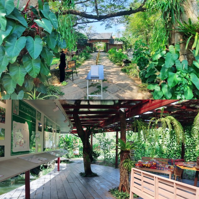 f:id:A-hanoi:20230209164835j:image
