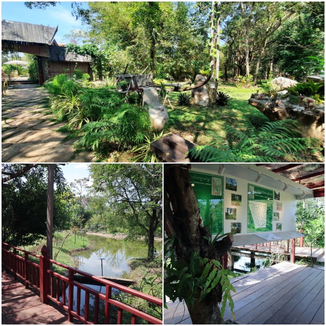 f:id:A-hanoi:20230209164846j:image