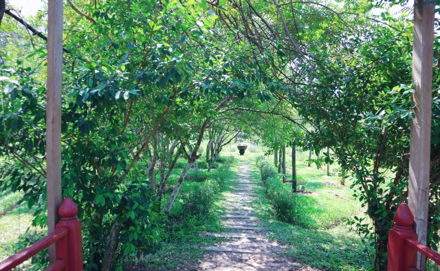 f:id:A-hanoi:20230209165112j:image