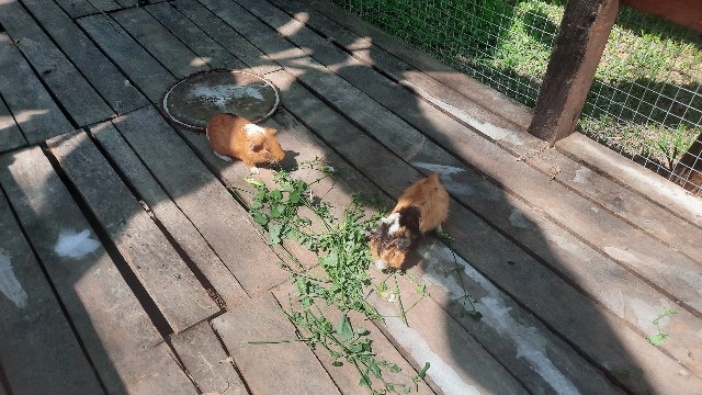 f:id:A-hanoi:20230209165616j:image