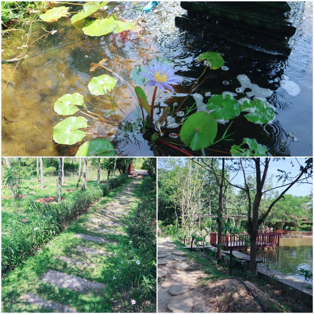 f:id:A-hanoi:20230209165710j:image