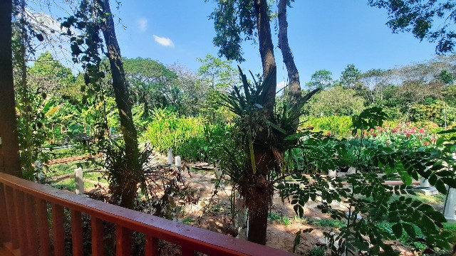 f:id:A-hanoi:20230209172235j:image