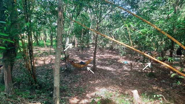 f:id:A-hanoi:20230209172359j:image