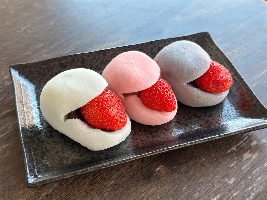 f:id:A-hanoi:20230228174654j:image