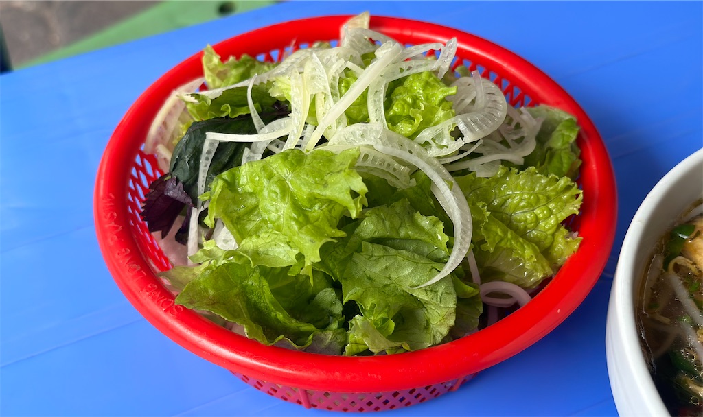 f:id:A-hanoi:20230310115457j:image