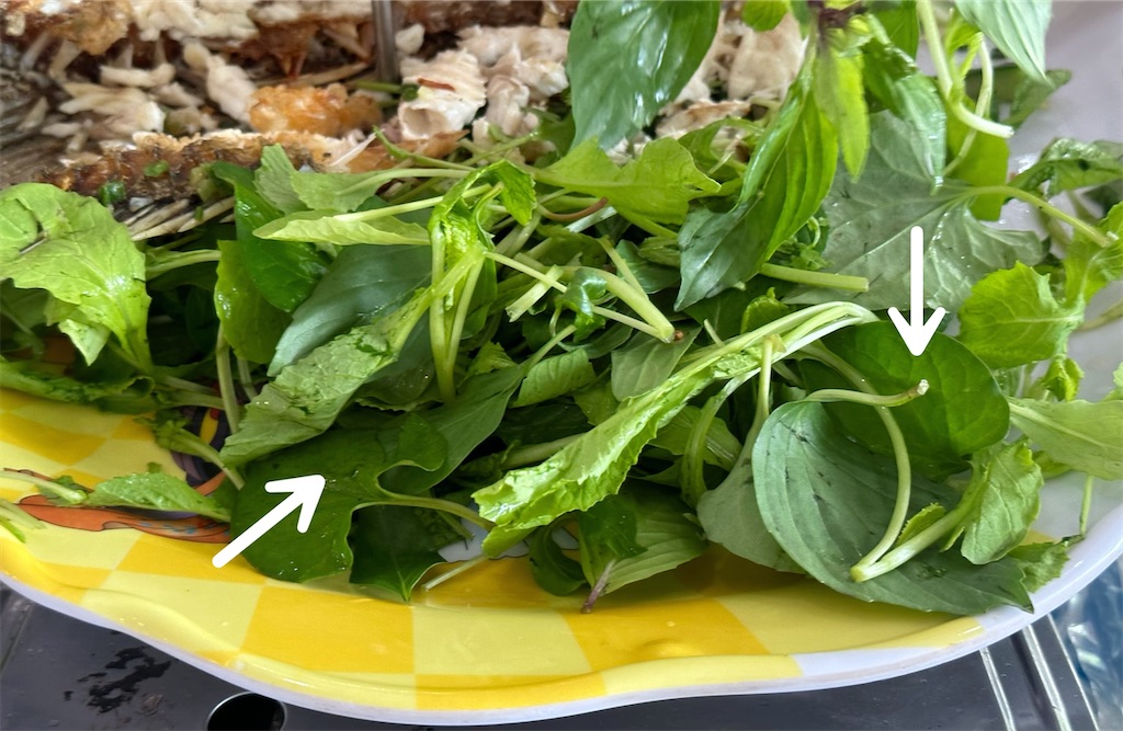 f:id:A-hanoi:20230327170205j:image