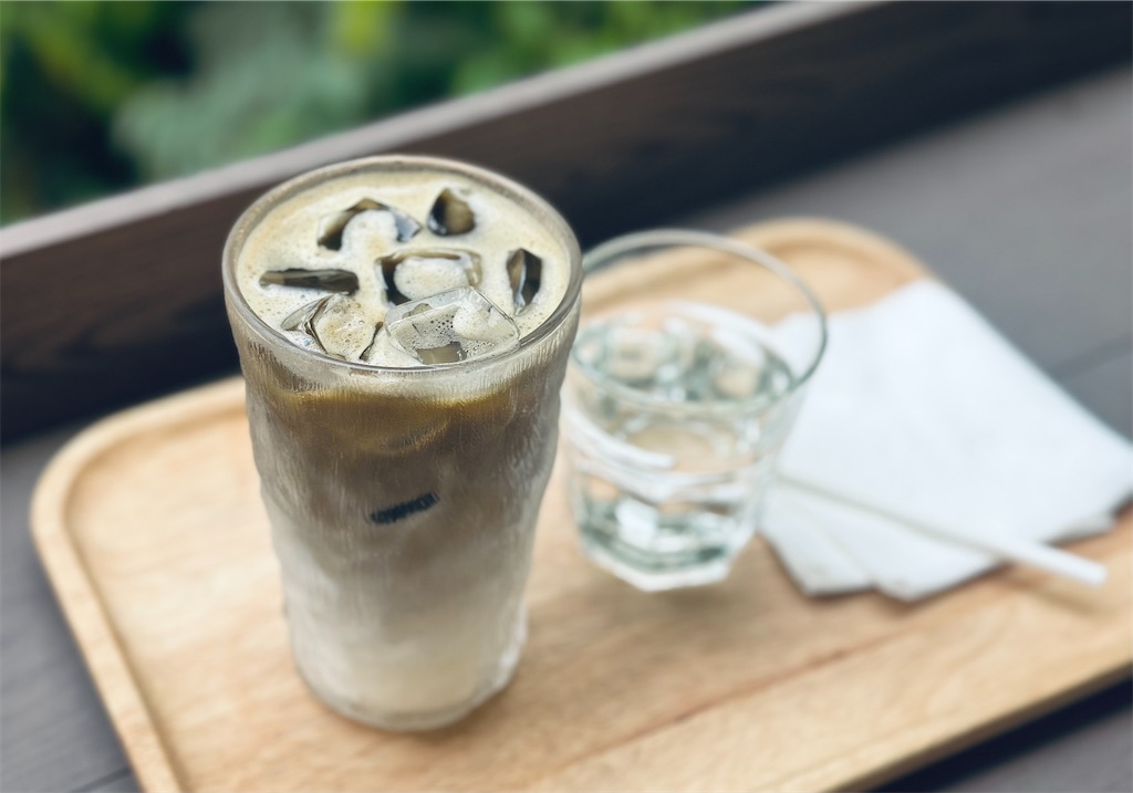 f:id:A-hanoi:20230410141244j:image