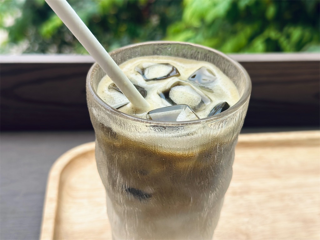 f:id:A-hanoi:20230410141251j:image