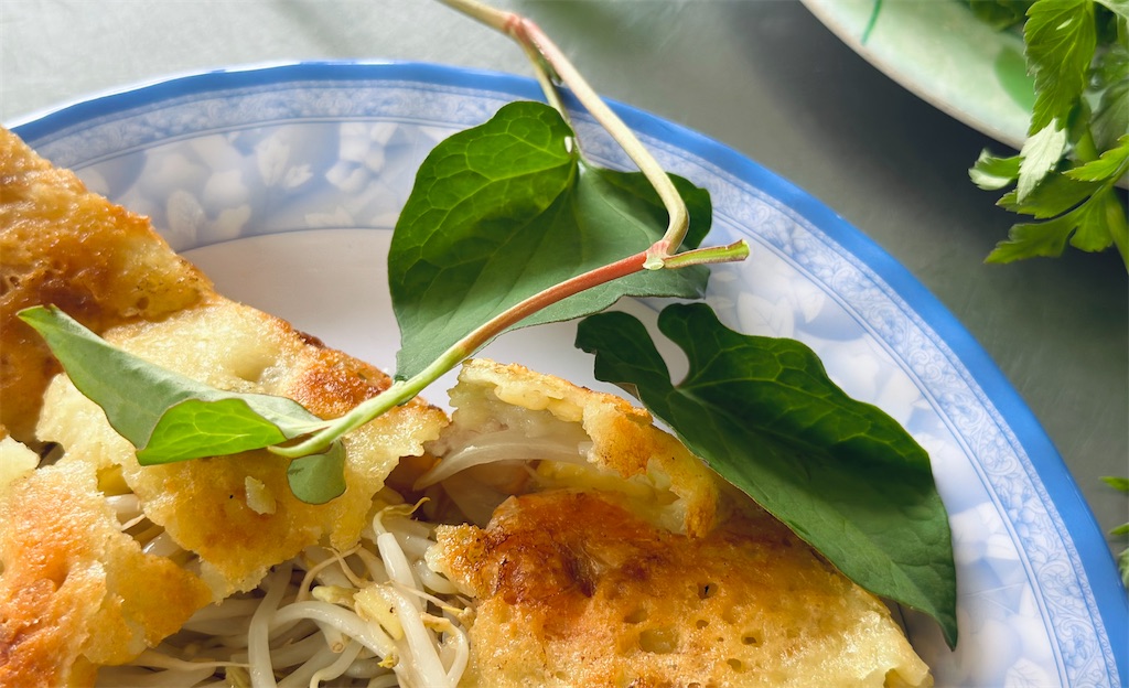 f:id:A-hanoi:20230422213149j:image f:id:A-hanoi:20230422213149j:image