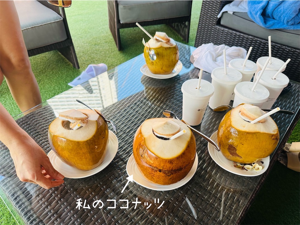 f:id:A-hanoi:20230428111009j:image