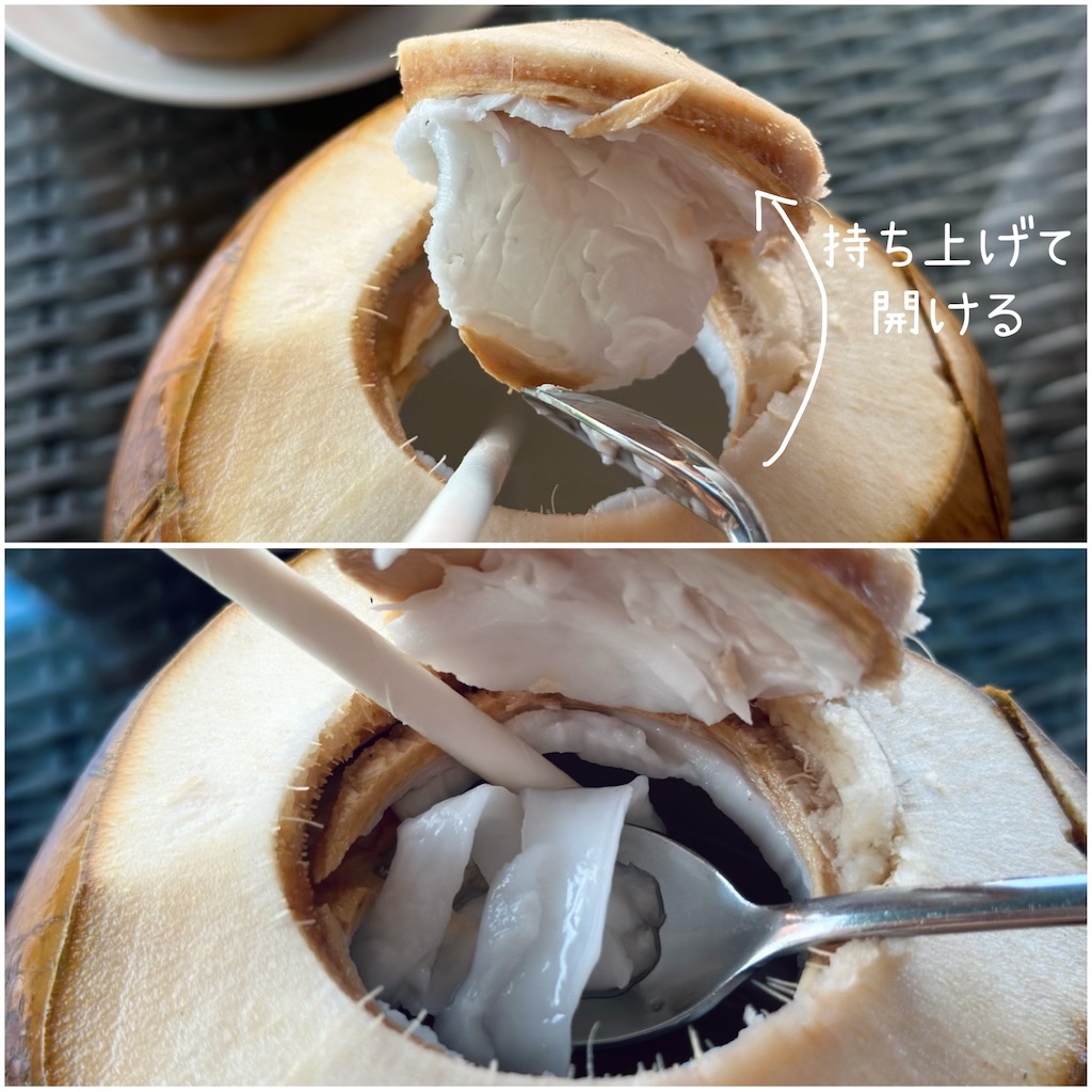 f:id:A-hanoi:20230428111315j:image