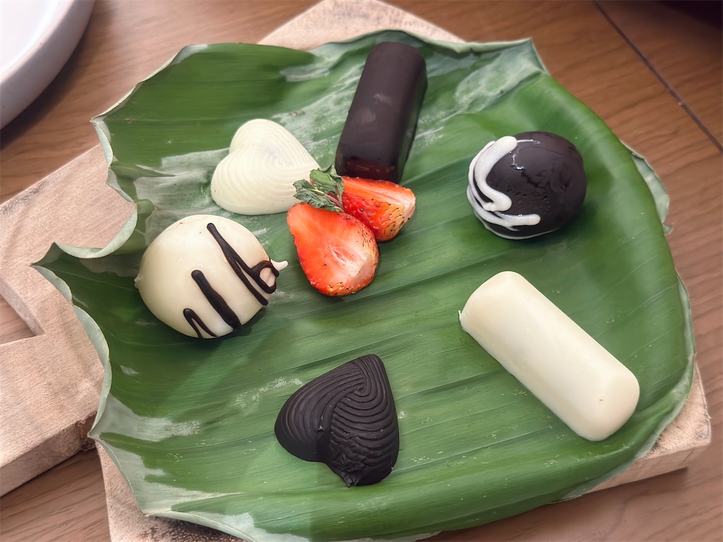 f:id:A-hanoi:20230505133219j:image