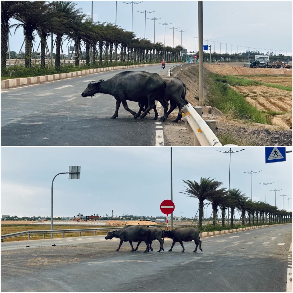 f:id:A-hanoi:20230506173145j:image f:id:A-hanoi:20230506173145j:image