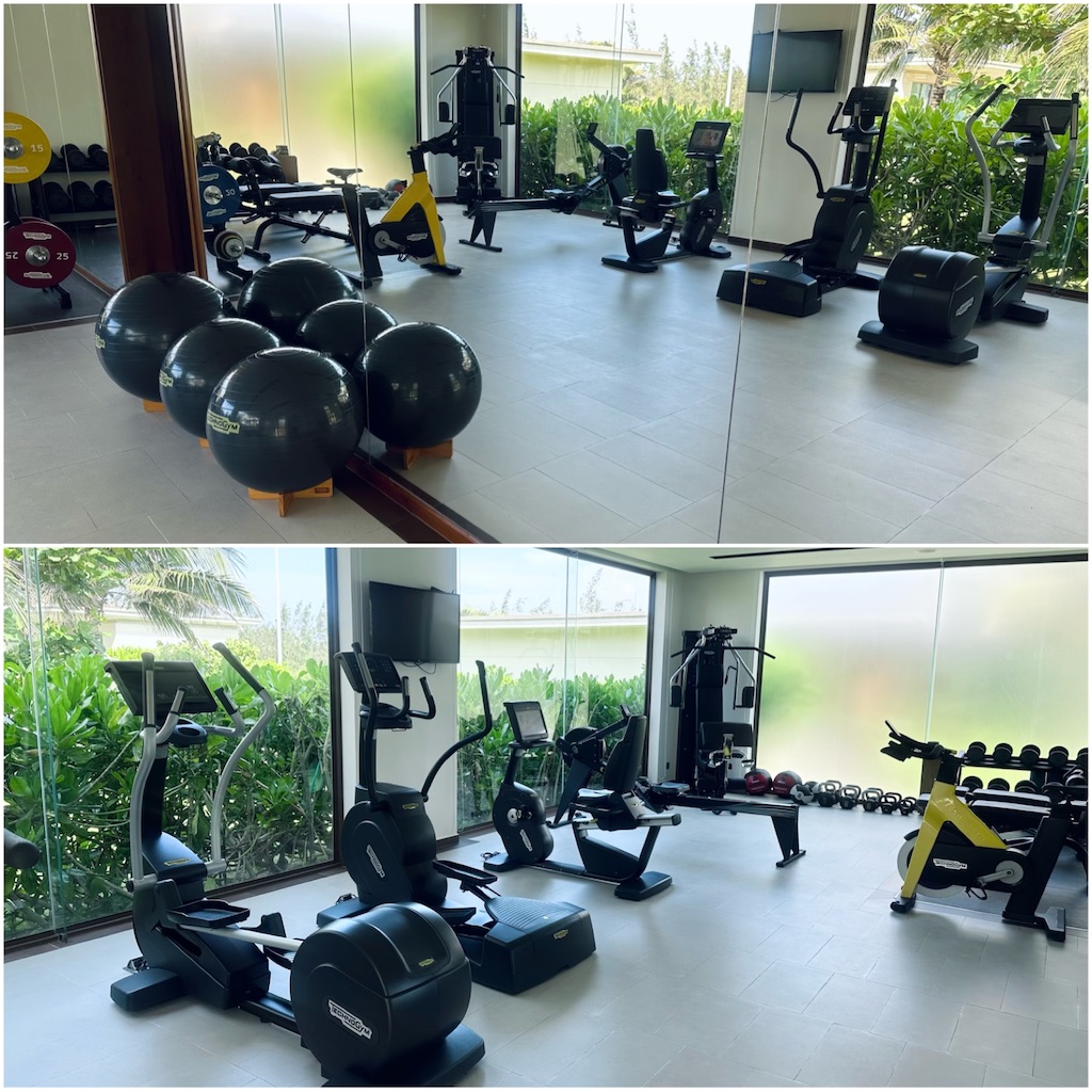 f:id:A-hanoi:20230509181218j:image