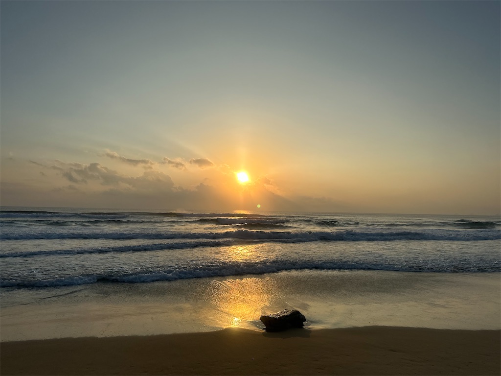 f:id:A-hanoi:20230510163603j:image f:id:A-hanoi:20230510163603j:image